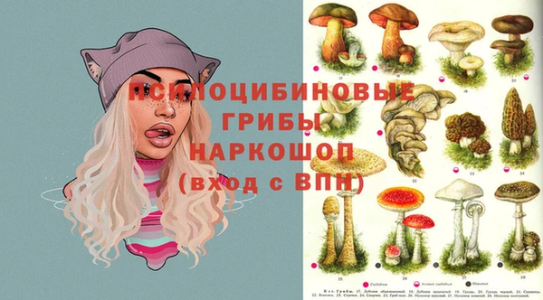 mix Алексин