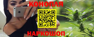 стаф Вязьма