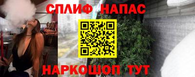 стаф Вязьма
