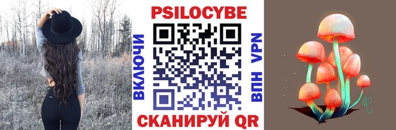 blacksprut как войти  Большой Камень  Псилоцибиновые грибы MAGIC MUSHROOMS 