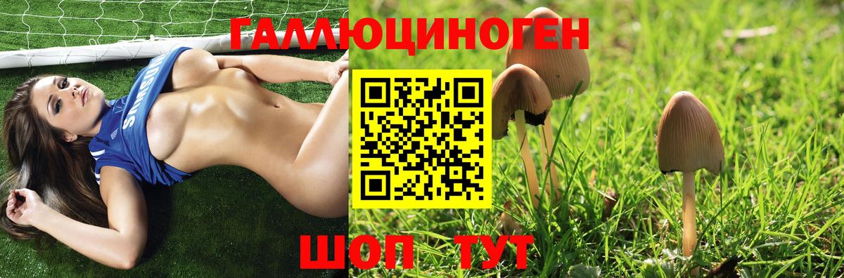 Галлюциногенные грибы Psilocybine cubensis  Вход с VPN  Галлюциногенные грибы прущие грибы  Большой Камень 